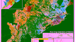 Crop Production Analytics using Dynamic Area Sampling Frames and Smartphone 3D Imaging (Partners)