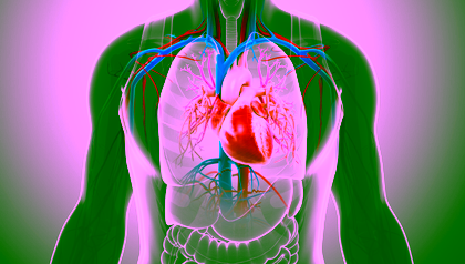 UT develops new heart-on-a-chip model for inherited heart disease PLN