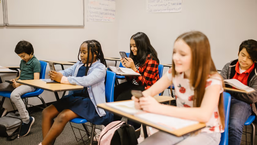 The youth Digital Skills Performance Test Results: Report on the results of real-life skills tasks.