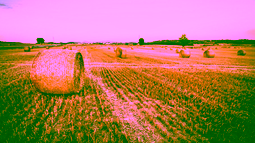FAO State of Food and Agriculture (1 & 2)