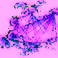 Network Theory