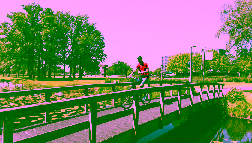 Red weather warning due to extreme heat: measures on campus