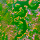 ITC Leads Global Push to Turn Satellite Data into Biodiversity Action