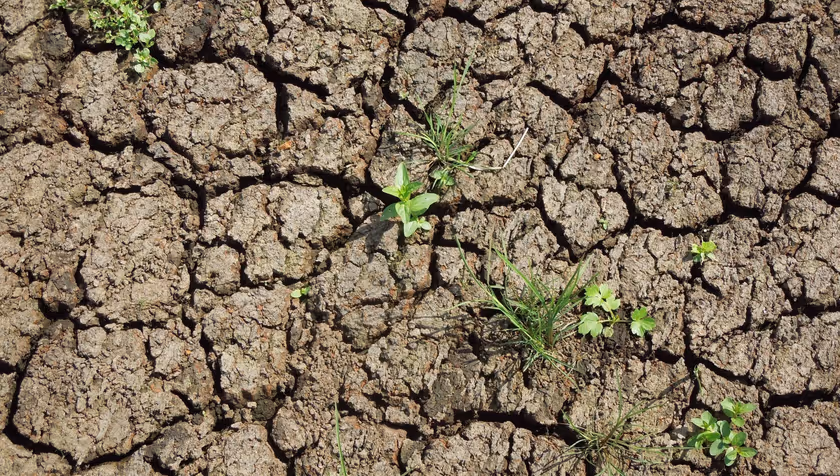 Netherlands and Germany combine efforts to address drought