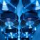 Behavioural and Organisational Perspectives on Energy-Efficient Computing