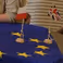 European Studies in the Netherlands