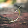Towards an Open Digital Twin of Soil-Plant System