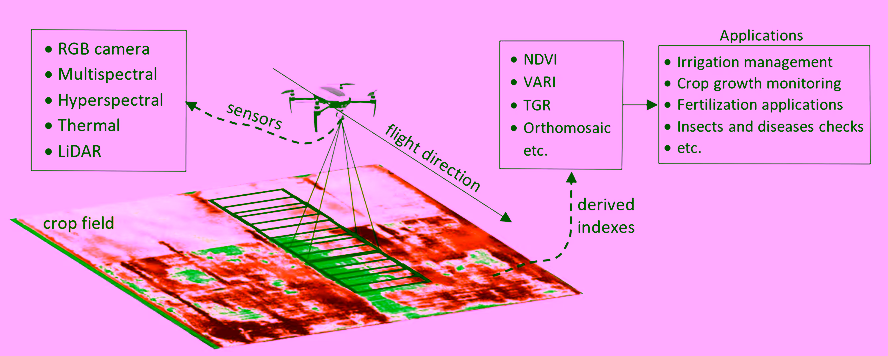 A visualization of the use of UAVs in smart agriculture.