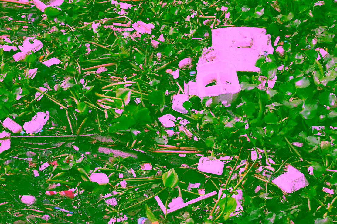 Trash and pollution near mangroves