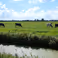 Workshop: Regenereren van duurzame voedselsystemen in Oost-Nederland