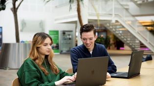 Two students of Business Information Technology at the University of Twente work on a project together.