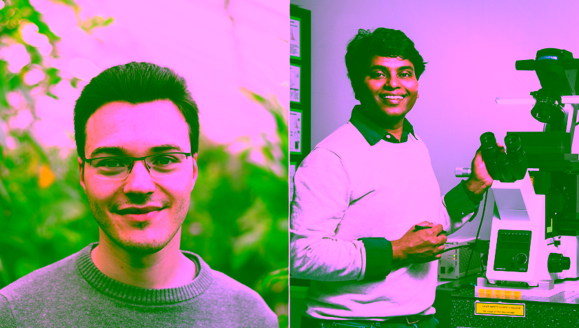 ERC Consolidator grants for protein and smart material research