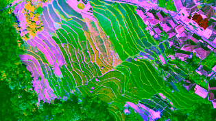 drone over field
