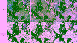 Biodiversity Precursors – EO4Diversity