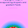 PhD Defence Duarte Ferreira Gonçalves Da Rocha | Marangoni flows in evaporating droplets and gradient fields