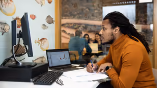 student looking at computer screen while studying