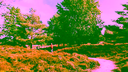 COMBINED Climate-Nature Interactions