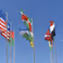 Mandatory KST check for international projects and grant applications