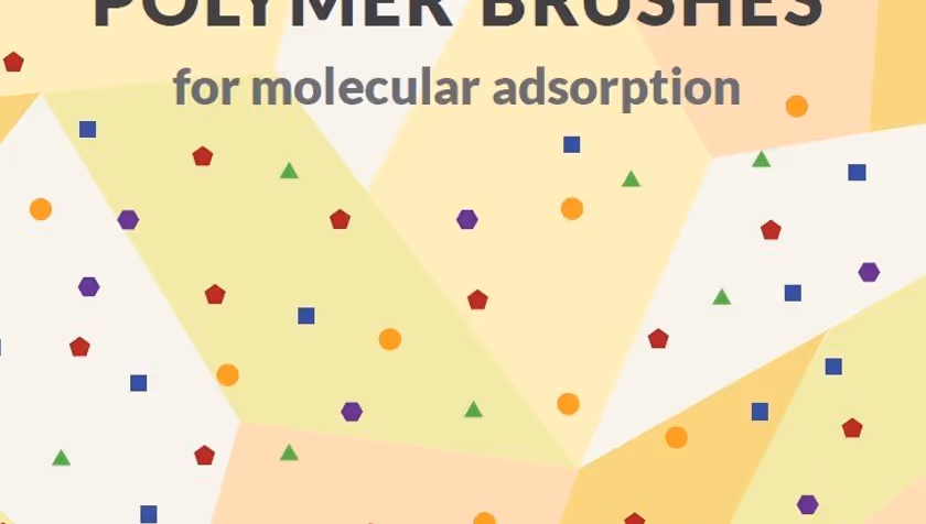 PhD Defence Leon Smook | Electroresponsive Polymer Brushes for Molecular Adsorption