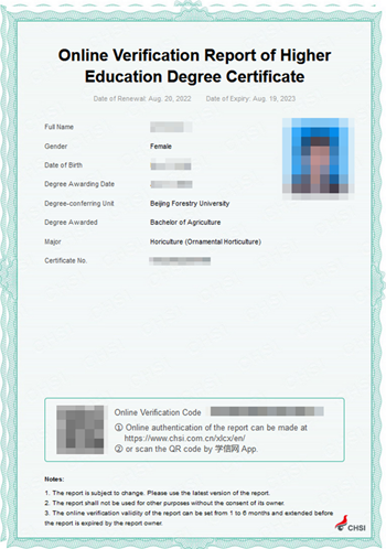 document example