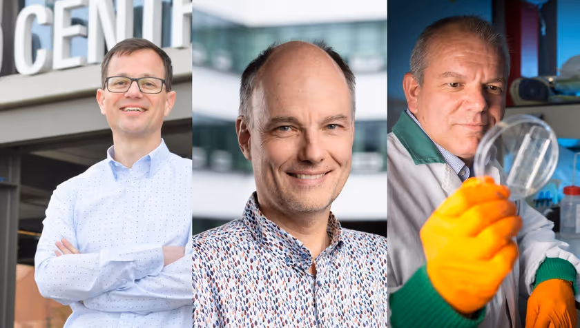 Three open competition grants for health research