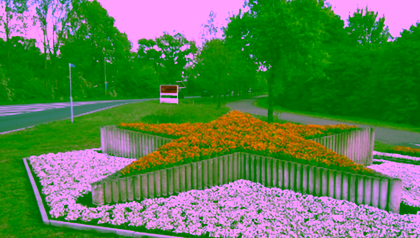 Haaksbergen presents a remedy for a faltering democracy