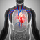 UT develops new heart-on-a-chip model for inherited heart disease PLN