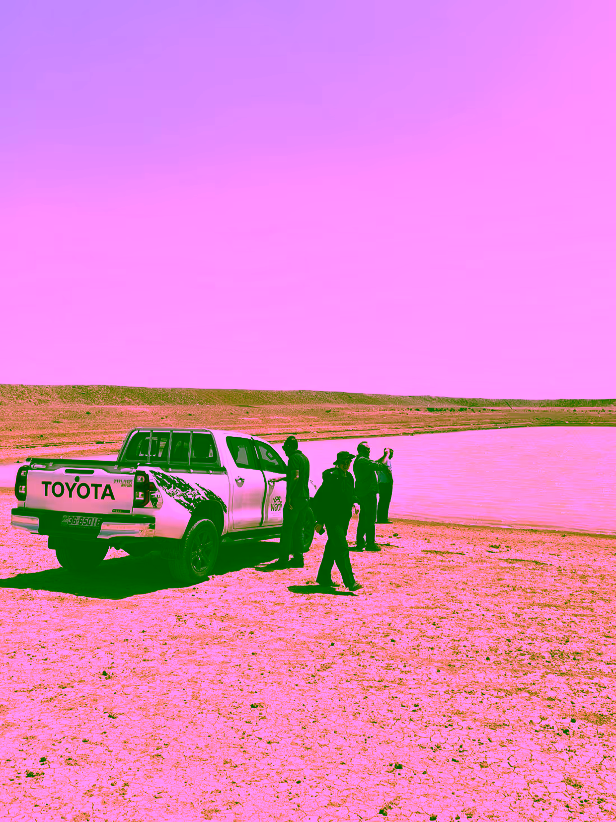 Field visit to Azraq, Jordan