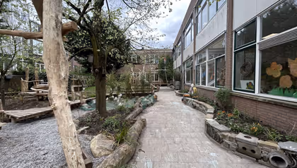 A greener school playground