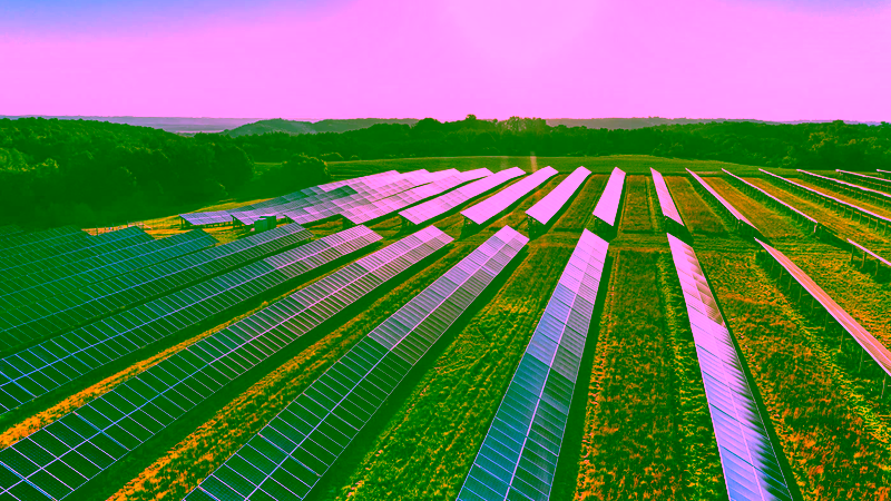 Solar panels under the sun