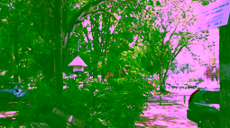 Towards a green and more liveable Paramaribo