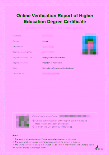document example