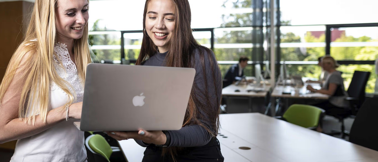 Students at work