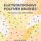 PhD Defence Leon Smook | Electroresponsive Polymer Brushes for Molecular Adsorption