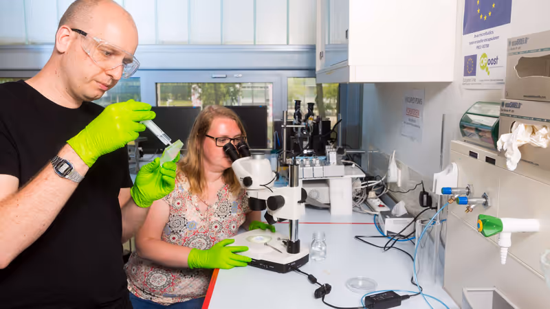 Andries van der Meer