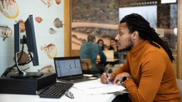 student looking at computer screen while studying