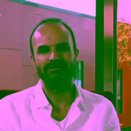 Prof Floris Zwanenburg, co-director QUANT