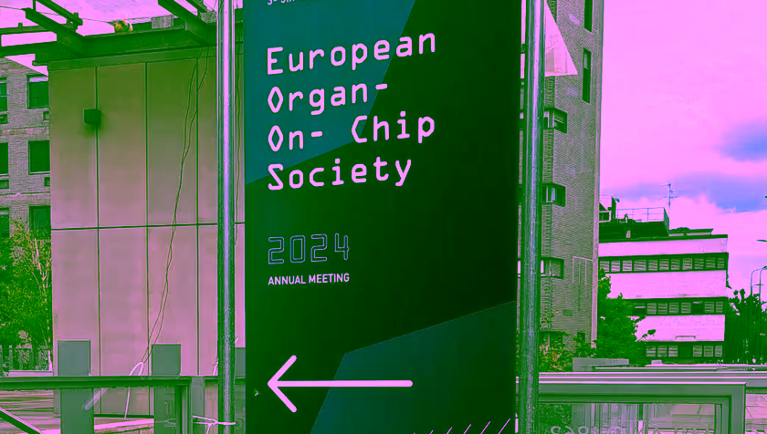 OoCCT at EUROoCS 2024