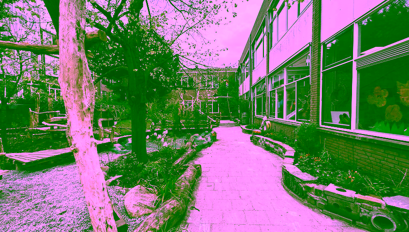 Climate-resilient cities can start with schoolyards