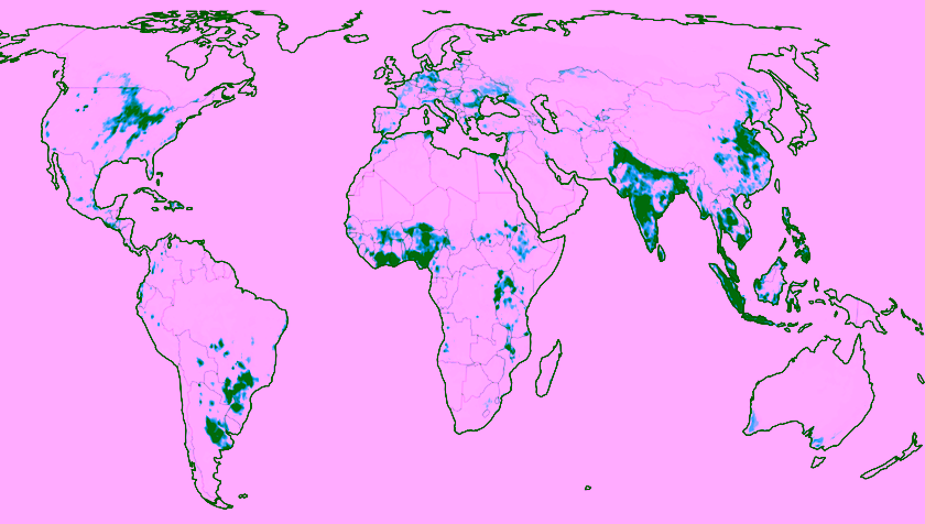 Waterverbruik van gewassen stijgt wereldwijd naar bijna 7 biljoen kubieke meter water