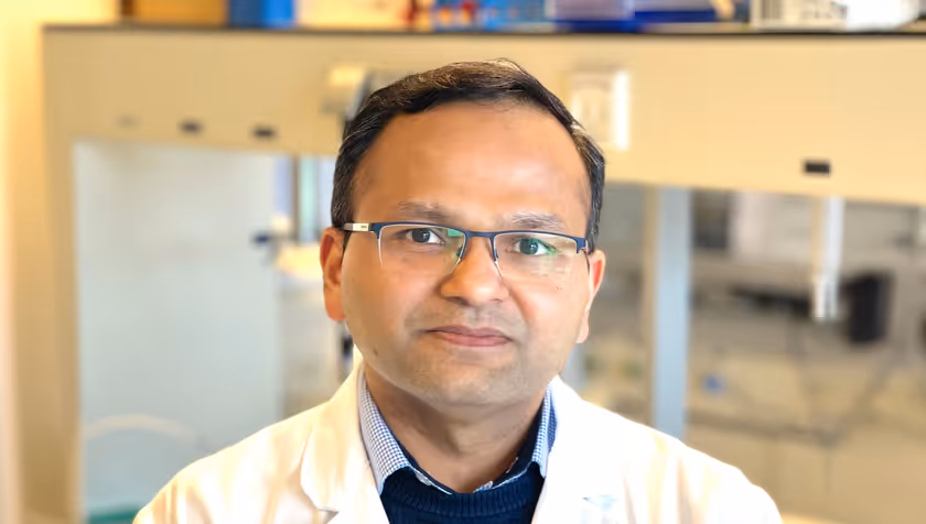 ERC Advanced grant for pancreatic cancer research