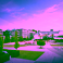 DSI Community Event: Help shape our focus areas