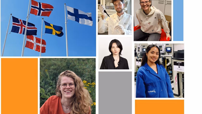 4TU.Alumni Nordics Online Tour - Virtual lunch visits with young researchers