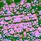 SDG 11 Global Report 2026 Showcases IDEAtlas Tools Developed at ITC