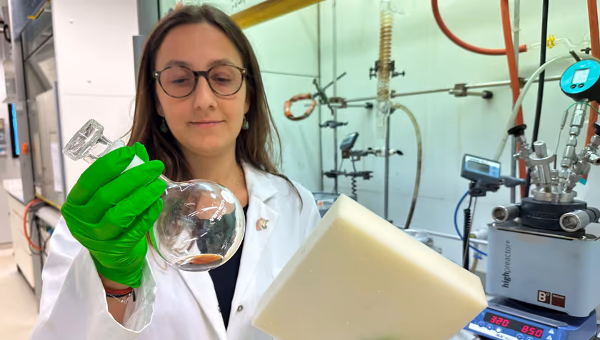 Researchers make sponges recyclable without toxic chemicals