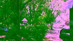 Towards a green and more liveable Paramaribo