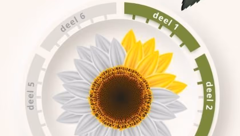 UT launches gratitude app