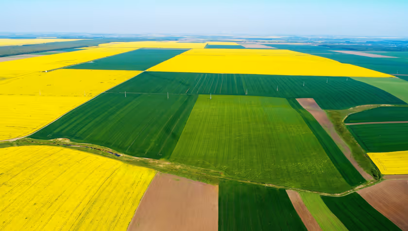 Translating field photos to detailed crop descriptions: ESA project advances AI technology to agricultural assessment