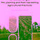 PhD Defence Vidya Nahdhiyatul Fikriyah | Remote sensing of pre-planting and post-harvesting agricultural practices