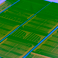 Three photons at once beat the standard photon test